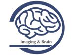 Logo ibrain